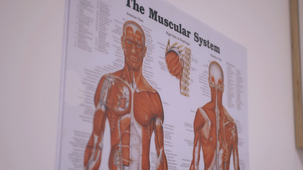 RehabCo Physio clinic offering expert physiotherapy services and podiatry in Auckland and Wellington